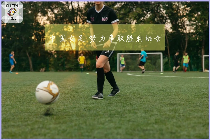 中国女足 努力争取胜利机会